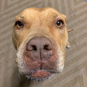 Meet your Posher, Jose